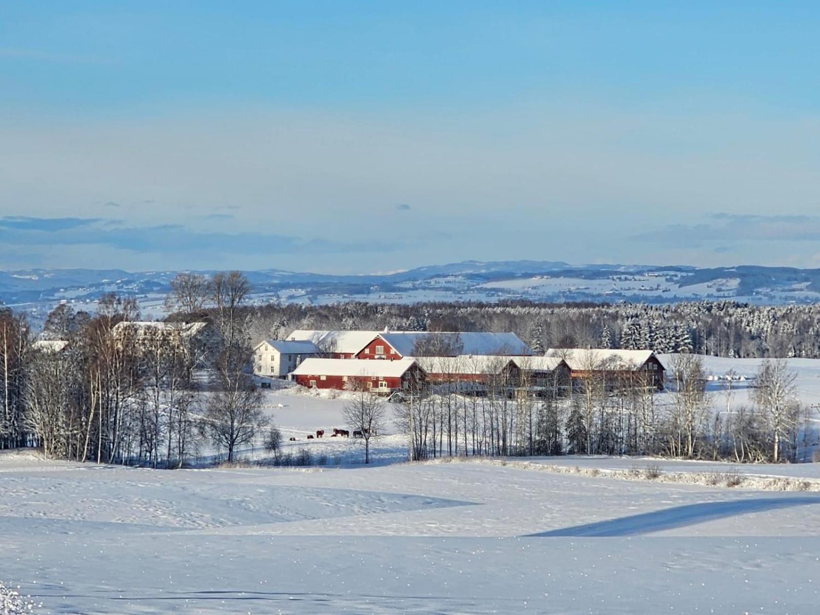 Fokhol Gård Hotell Stange Exteriör bild